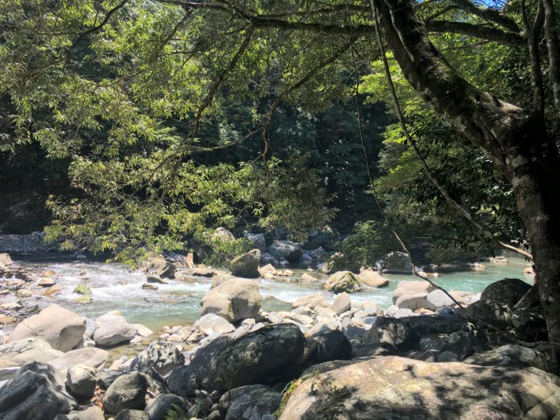 無料のキャンプ場 宮崎県綾町の川中自然公園で心に癒しを なんそん３