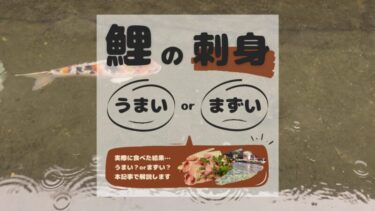 鯉のあらいはまずい 実際に食べてみた感想とその理由を解説