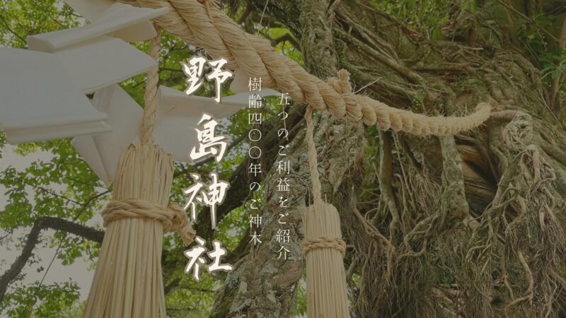 野島神社 ５つのご利益 樹齢４００年のご神木に願いを