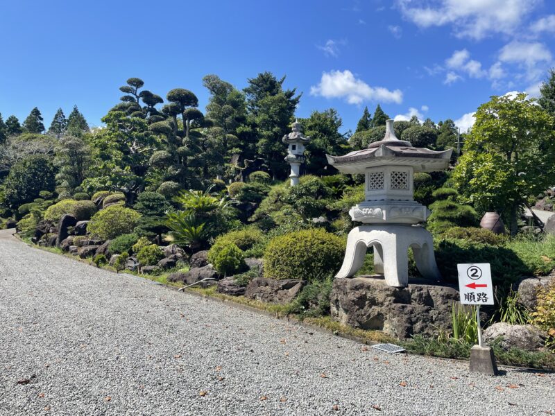 綺麗に選定されたお庭