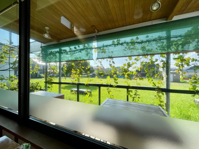 緑が生い茂っている公園が見えるカフェからの眺め