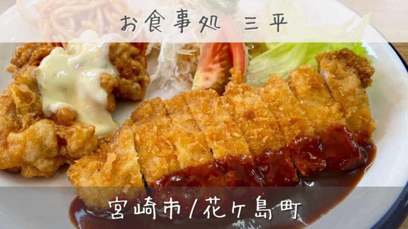 丸皿に乗ったトンカツとチキン南蛮と野菜たち