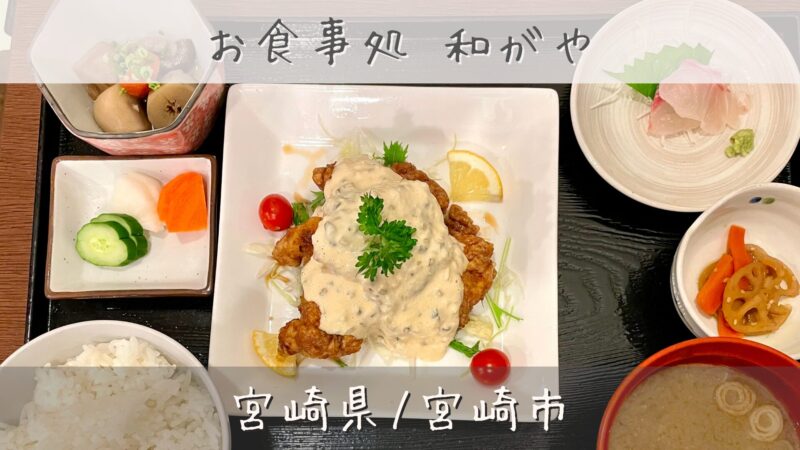 ひとつのお盆に乗ったチキン南蛮定食セット